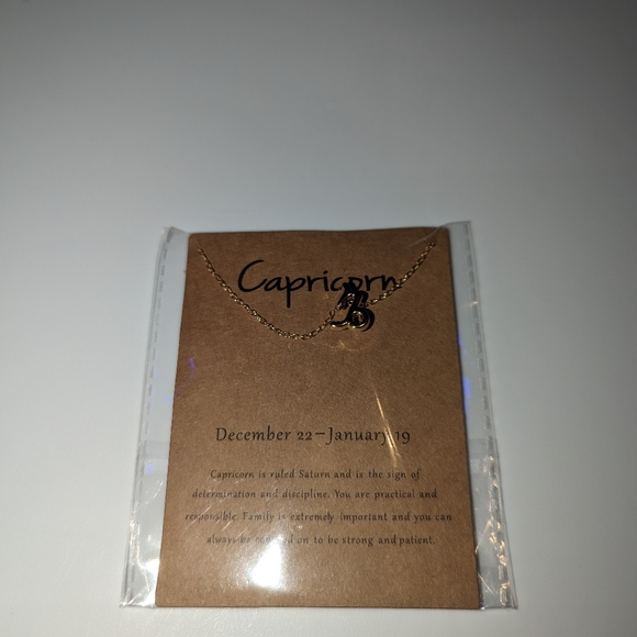 Zodiac Capricorn Sign Fashion Necklace - Picture 4 of 8